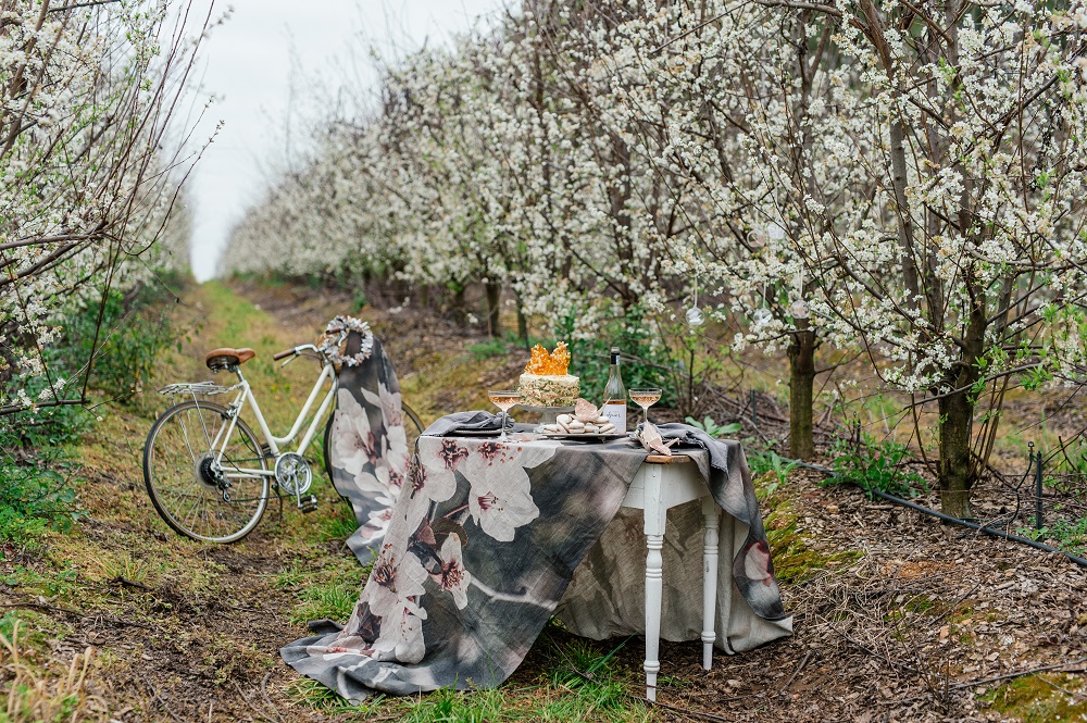 House & Leisure – Blooming Beautiful: Samesyn Linen’s Spring Collection
